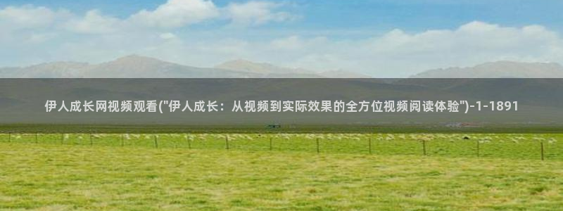 伊人久久影院先锋