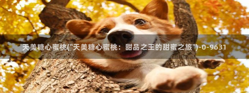 心糖.vlog