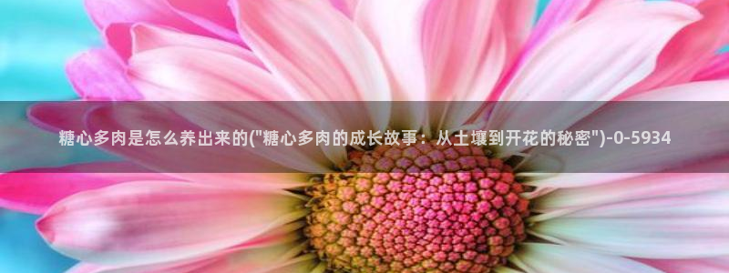 糖vlog心