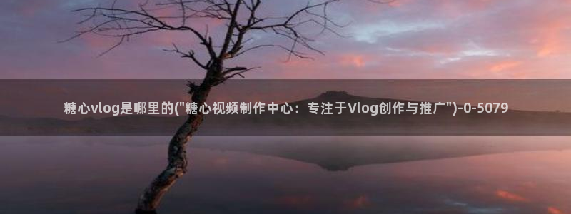 糖心vlog下