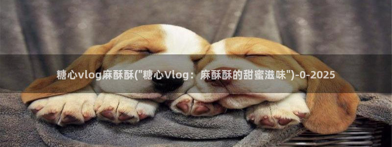糖心vlog鸡教练