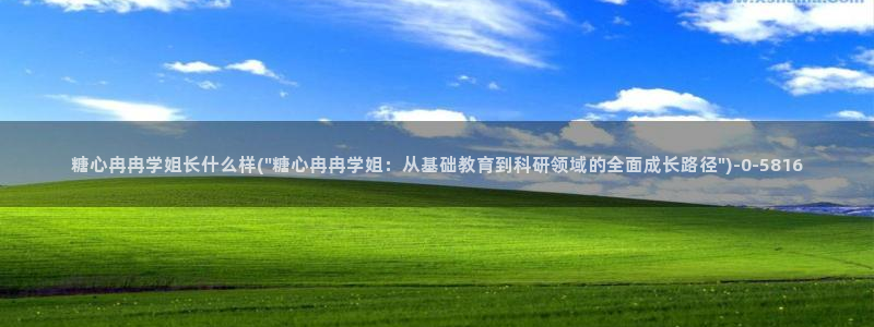 糖心vlog高清