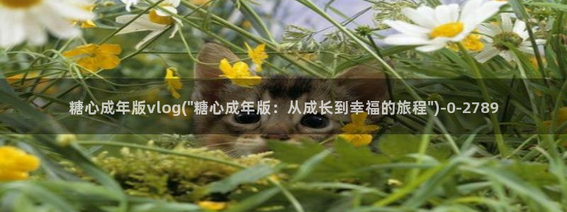 www.糖心vlog.con
