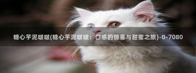 糖心vlog免费入口