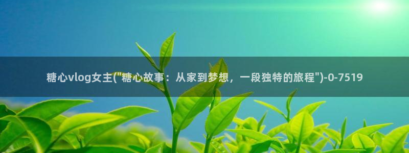 糖心vlog进入在线