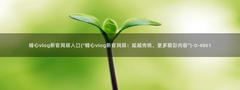 糖心vlog有哪些人