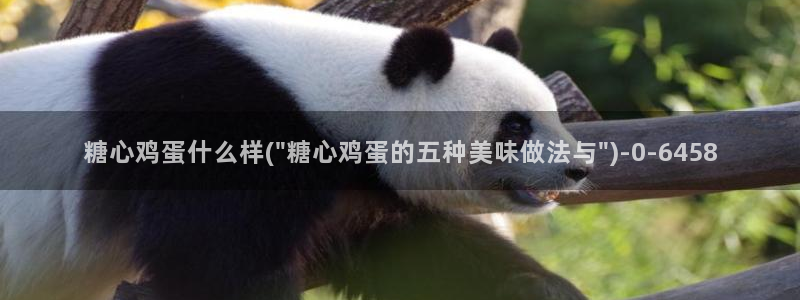糖心vlog免