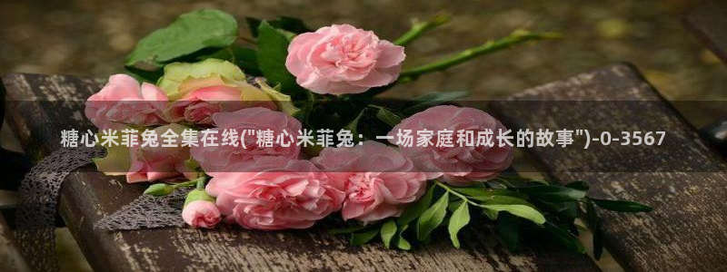 糖心vlog娜娜洗衣机