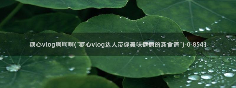 vlog糖心在线观看
