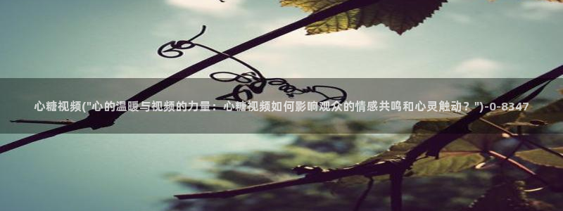 如何加入糖心vlog