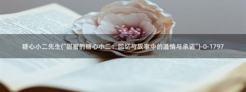 糖心视频vlog最新入口